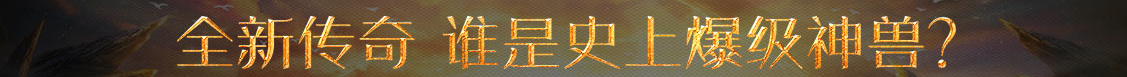 金龍網